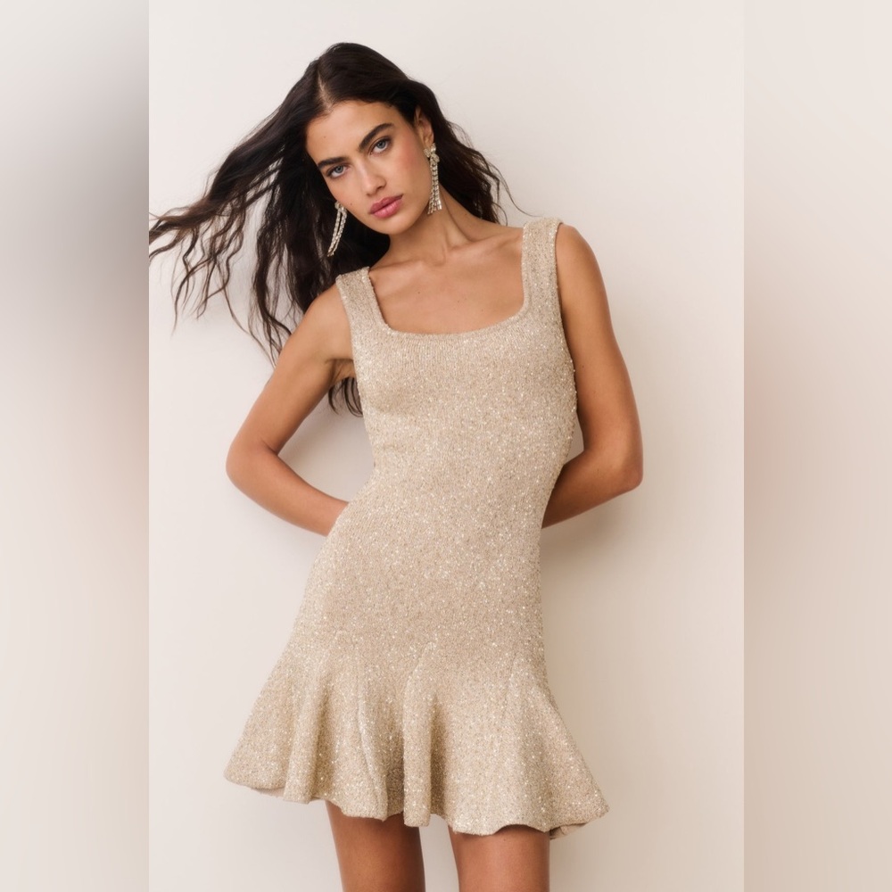 Sarajane Sequin Stretch Knit Mini Dress NWT